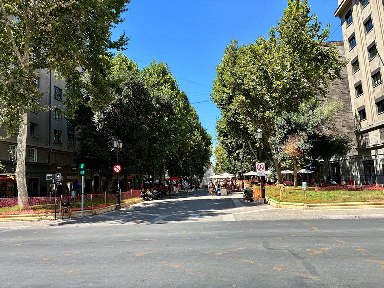 Estudio Terraza + Cama king + escritorio | 902