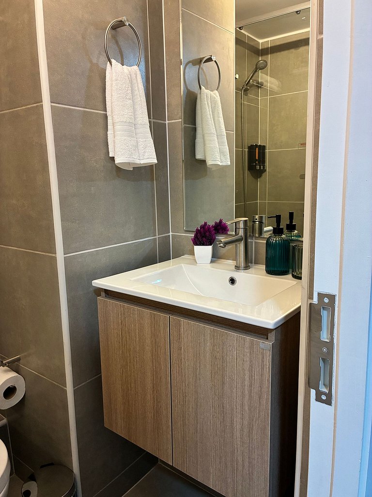 Estudio Terraza + Cama king + escritorio | 901