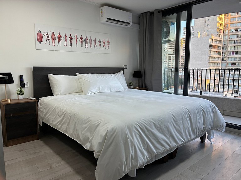 Estudio Terraza + Cama king + escritorio | 902