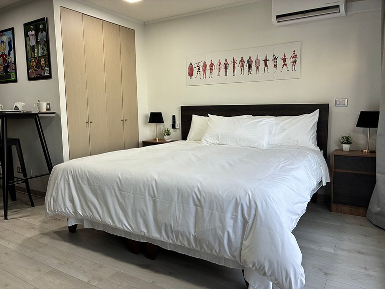 Estudio Terraza + Cama king + escritorio | 902