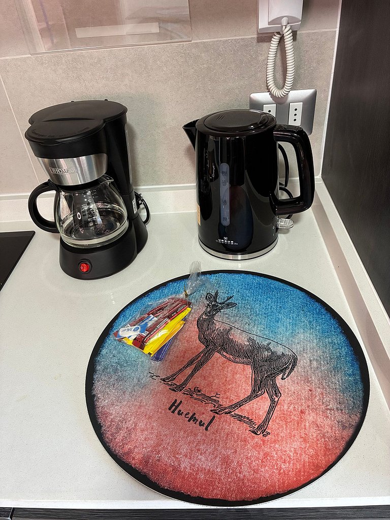 Estudio Terraza + Cama king + escritorio | 901