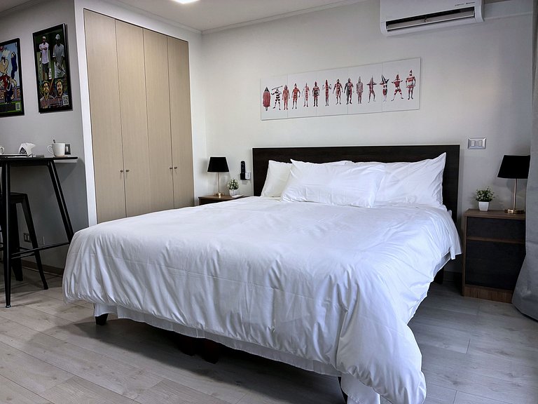 Estudio con terraza privada cama king y escritorio en Santia